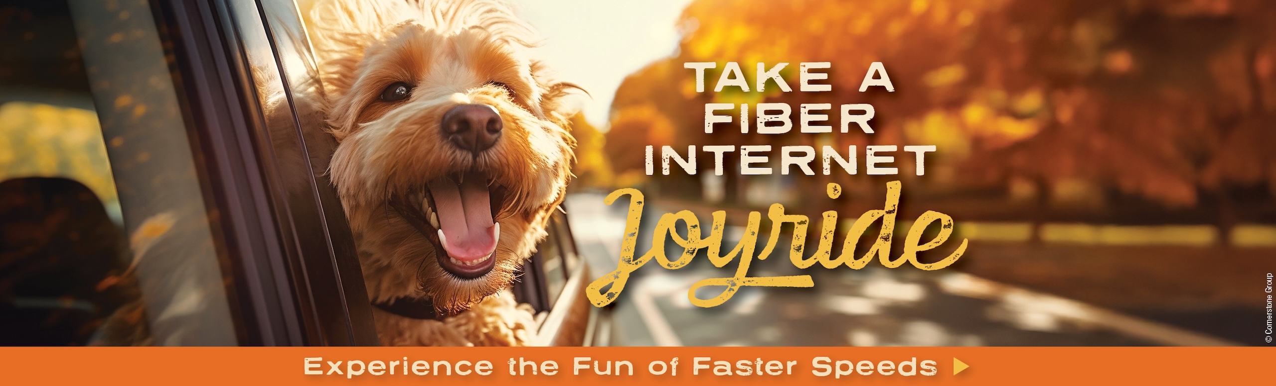 Enjoy a fiber joyride